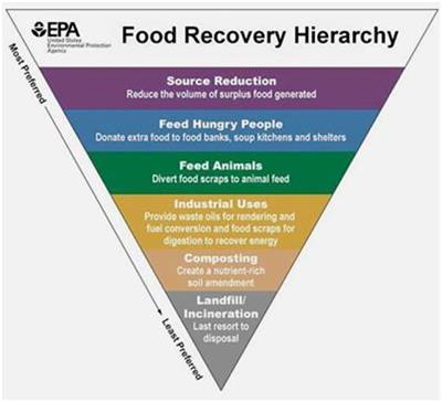 Editorial: Re-valorization of Food Losses and Food Co-products